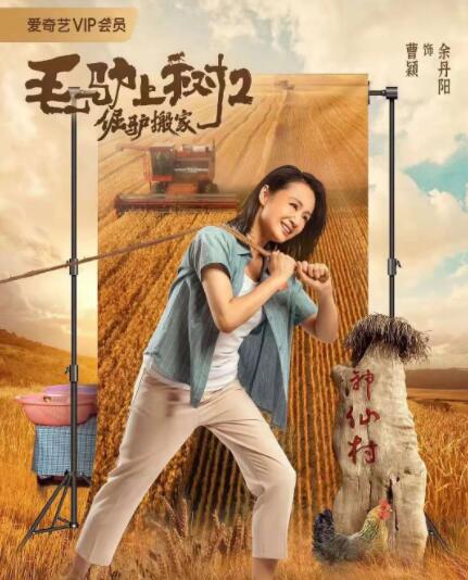 欧美xx性在线