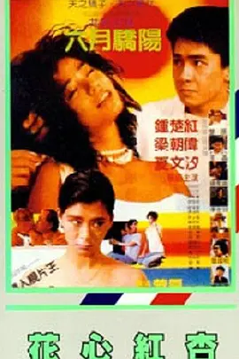 午夜精品一区二区三区在线视