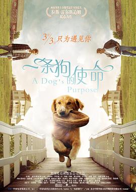 变态性爱