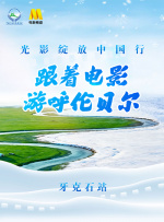 久久99久久精品国产只有